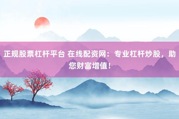 正规股票杠杆平台 在线配资网：专业杠杆炒股，助您财富增值！