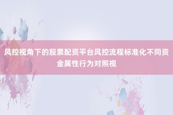风控视角下的股票配资平台风控流程标准化不同资金属性行为对照视