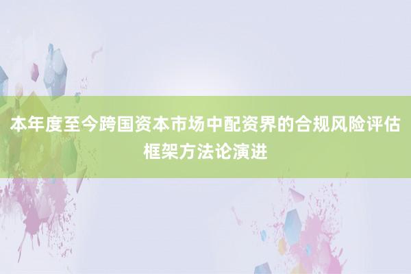 本年度至今跨国资本市场中配资界的合规风险评估框架方法论演进