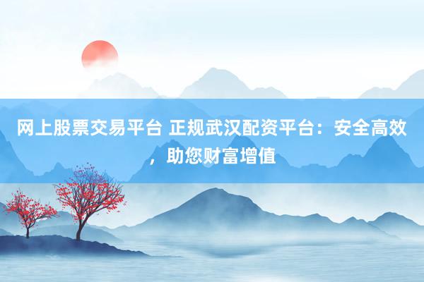 网上股票交易平台 正规武汉配资平台：安全高效，助您财富增值